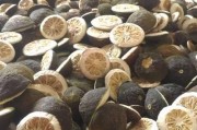 积壳前景怎么样_积壳种植赚钱吗