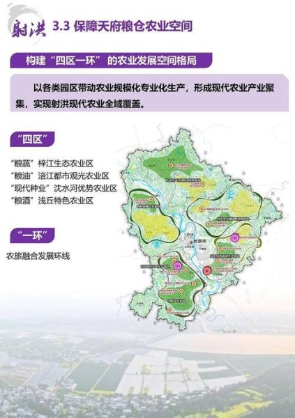 射洪发展前景怎么样_射洪未来五年规划