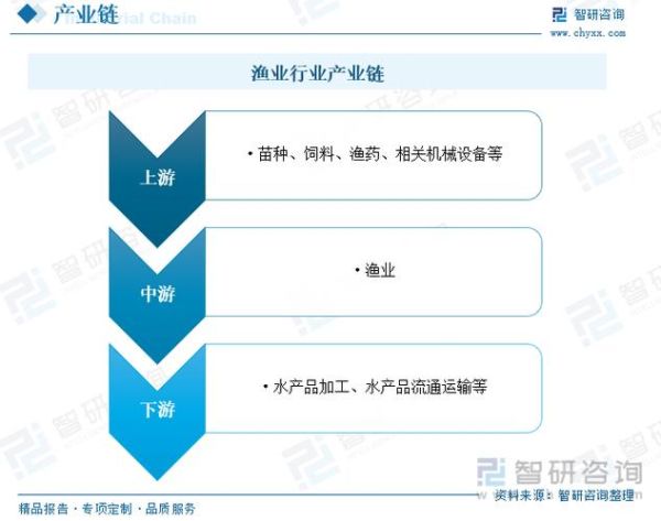 渔业前景怎么样_未来渔业发展趋势