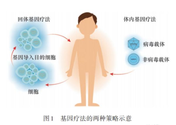 基因诊断前景如何_基因诊断能治疗哪些疾病