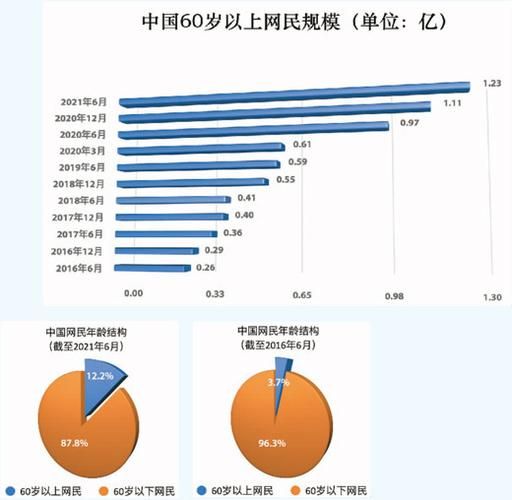 2016年中国网民规模_2016年网民年龄结构