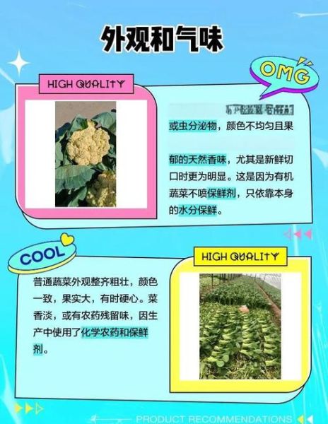 有机农业发展前景怎么样_有机农产品如何辨别真伪