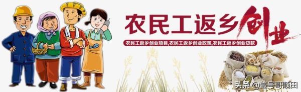 农民为什么对互联网不信任_怎样提高农村网络信任度