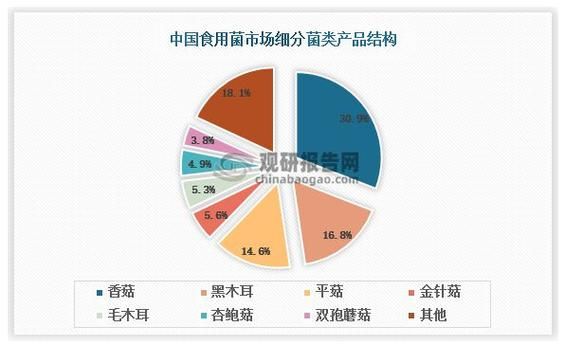 食用菌种植前景怎么样_食用菌市场未来五年发展趋势