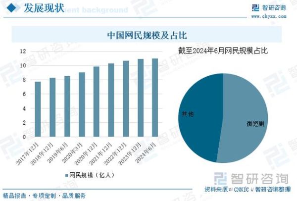 中国网民规模突破10亿_2024年最新数据解读