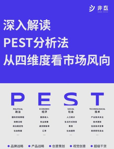 互联网行业pest分析怎么做_如何评估政策风险