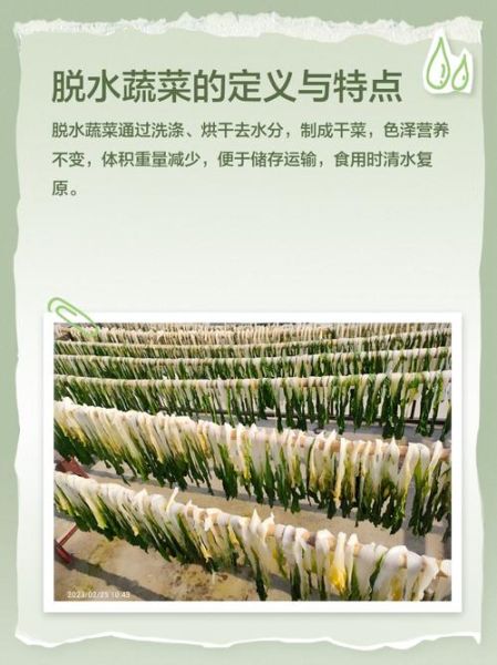 脱水蔬菜怎么做_脱水蔬菜有营养吗