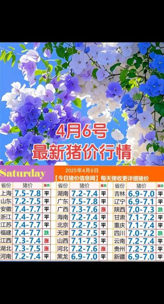 猪肉价格还会涨吗_2024年养猪赚钱吗