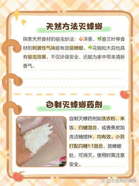 家里发现蟑螂怎么办_灭蟑螂最有效的方法