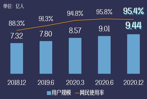 2020中国互联网现状_用户规模多大