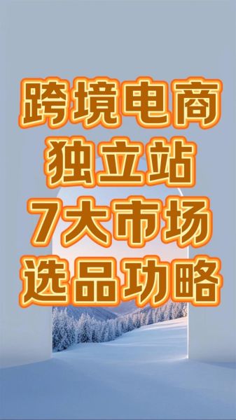日本跨境电商怎么做_日本独立站如何选品