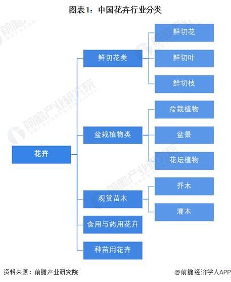 花卉行业市场现状_2024年花卉生意还能做吗