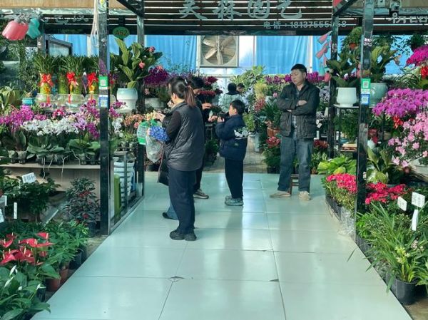 花卉行业市场现状_2024年花卉生意还能做吗
