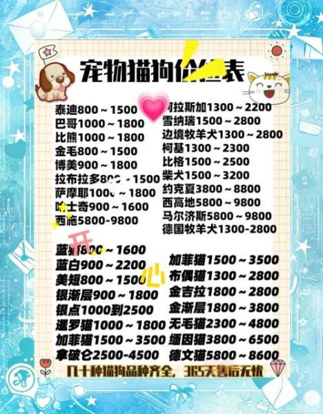宠物用品怎么选_宠物电商哪个平台靠谱