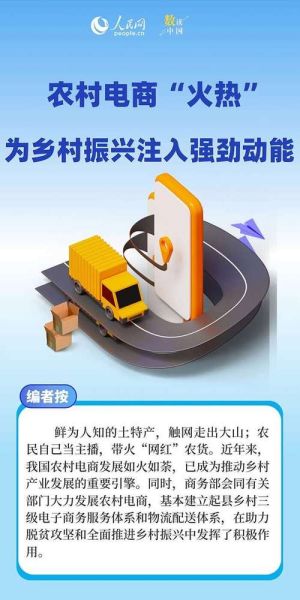 农村电商怎么做_农村电商如何运营