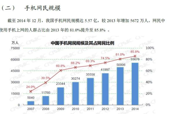 2013年互联网普及率_中国网民规模有多大