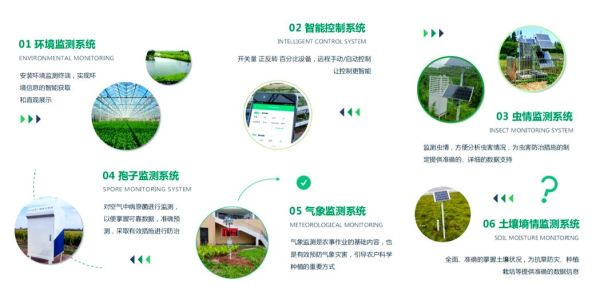 农业物联网解决方案有哪些_智慧农业物联网系统怎么选