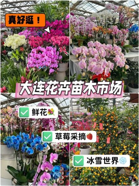 假花市场前景怎么样_2024假花行业赚钱吗