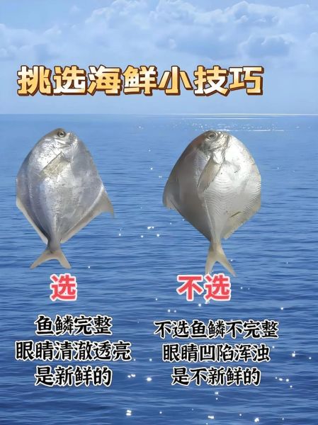 水产品怎么挑选_网购海鲜靠谱吗