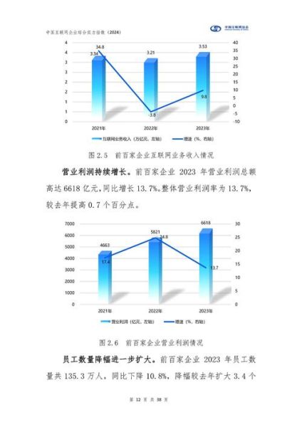 互联网企业如何突围_2024竞争格局分析