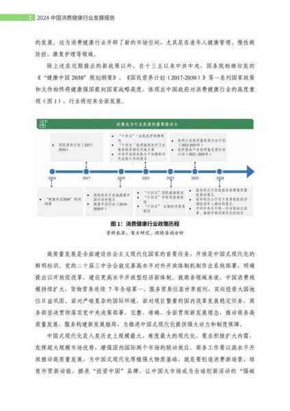 中国行业分析报告怎么写_2024年最新模板