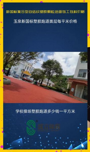 塑胶跑道未来五年市场潜力_如何抓住行业红利