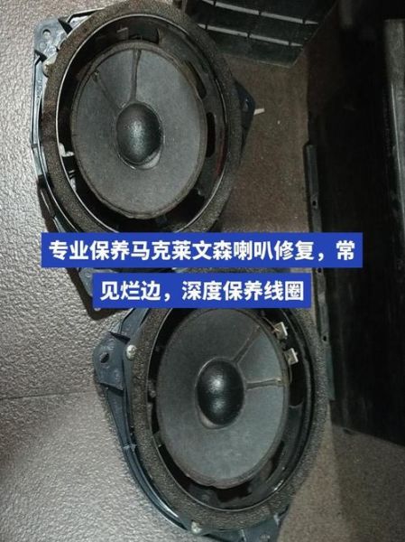 扬声器有杂音怎么办_扬声器声音变小怎么修