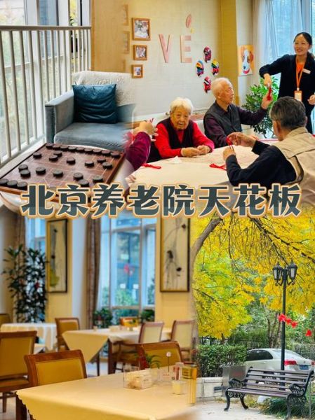 养老院发展前景如何_开养老院赚钱吗