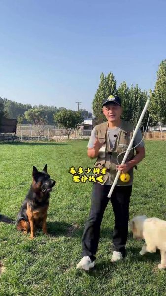 犬舍前景怎么样_开犬舍赚钱吗