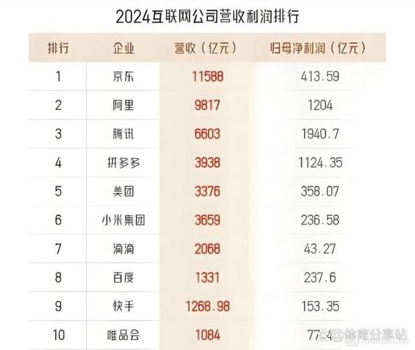 2013中国互联网企业排名_盈利模式有哪些