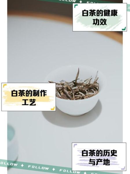 白茶市场前景怎么样_白茶值得投资吗