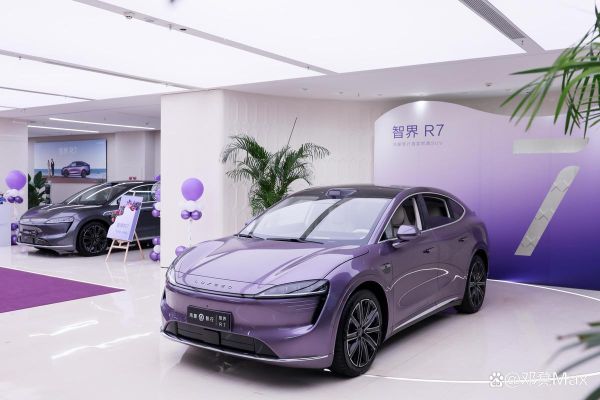 新能源车前景怎么样_2024年值得入手吗