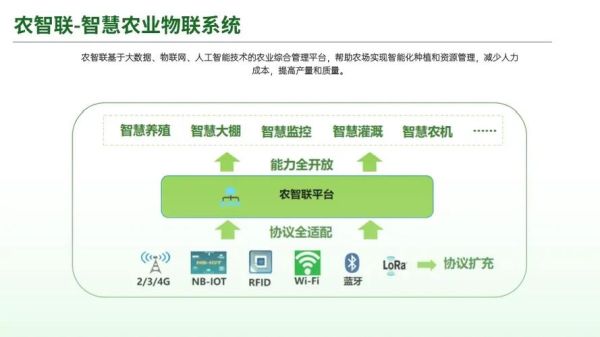 互联网+农业成功案例有哪些_地方特色怎么打造