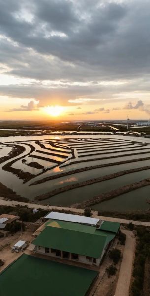 航拍行业前景怎么样_无人机航拍赚钱吗