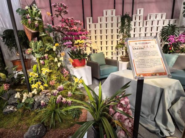 园艺前景怎么样_园艺创业赚钱吗