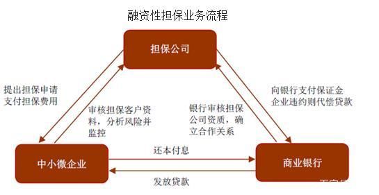 融资担保前景如何_融资担保行业未来趋势