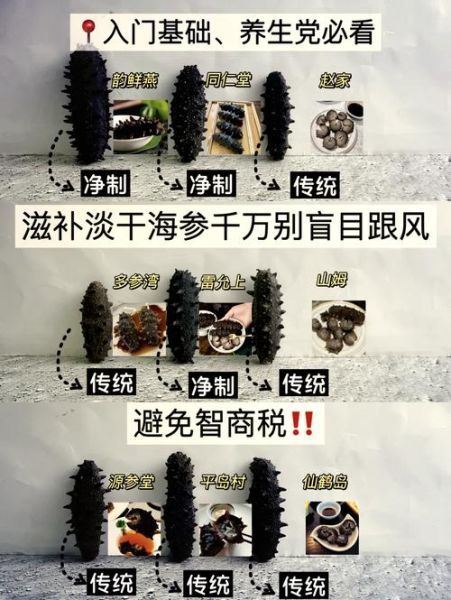 海参怎么挑选_海参价格为什么差距大