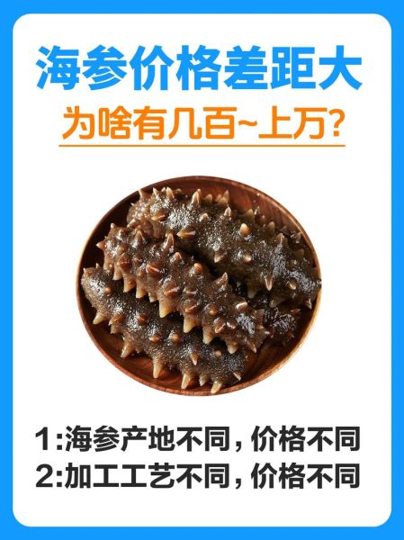 海参怎么挑选_海参价格为什么差距大