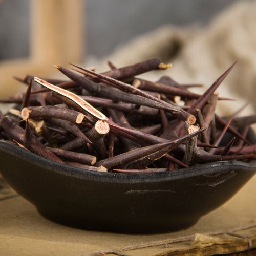 皂角刺多少钱一斤_皂角刺种植前景怎么样