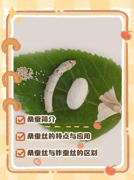 种桑养蚕前景怎么样_利润高吗