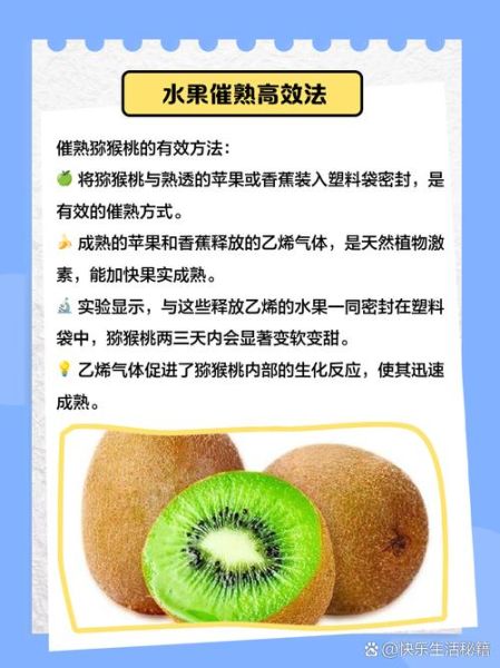 猕猴桃怎么挑选_猕猴桃什么时候成熟