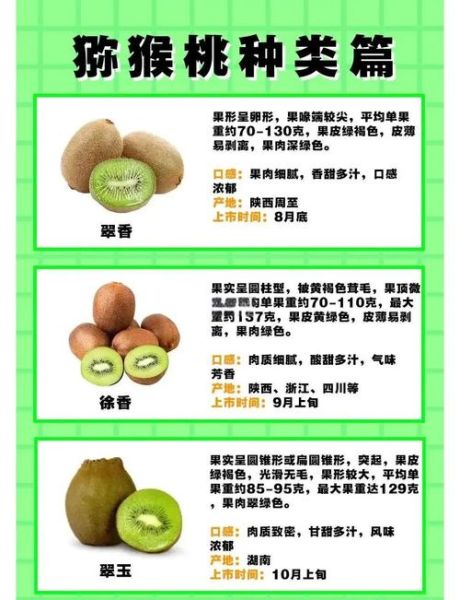 猕猴桃怎么挑选_猕猴桃什么时候成熟