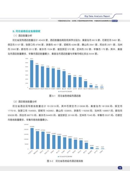 中国大数据前景怎么样_大数据行业未来趋势