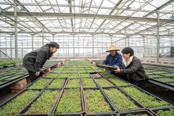 蔬菜行业前景怎么样_2024年蔬菜种植赚钱吗