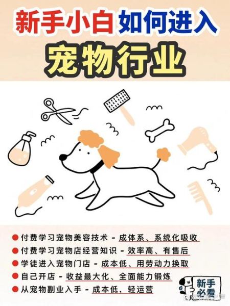 中国宠物行业发展前景如何_新手开宠物店赚钱吗