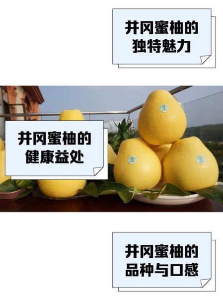 蜜柚互联网市场前景怎么样_蜜柚互联网创业机会有哪些