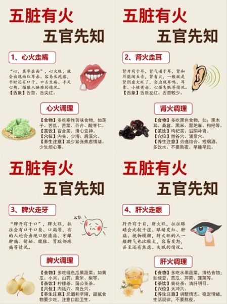 中医养生适合哪些人群_如何科学调理体质