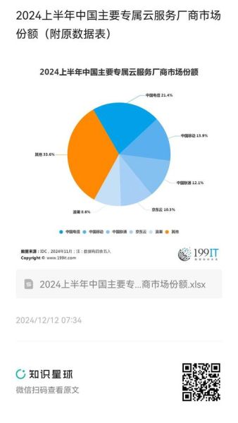 互联网服务市场份额_哪家公司领先