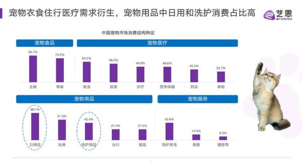 清洁用品前景怎么样_2024年还能入局吗