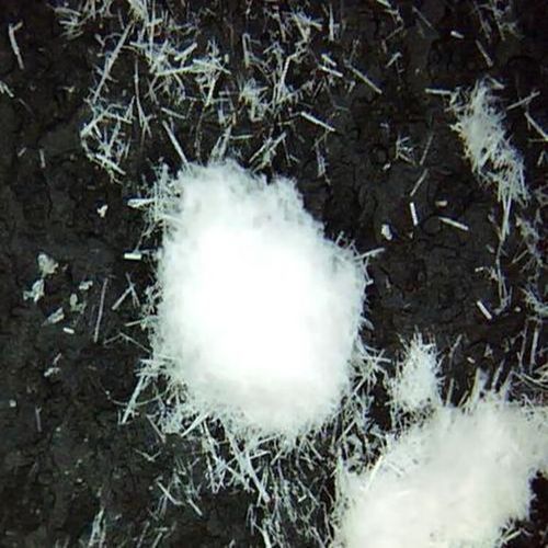 晶须是什么材料_晶须未来五年市场预测